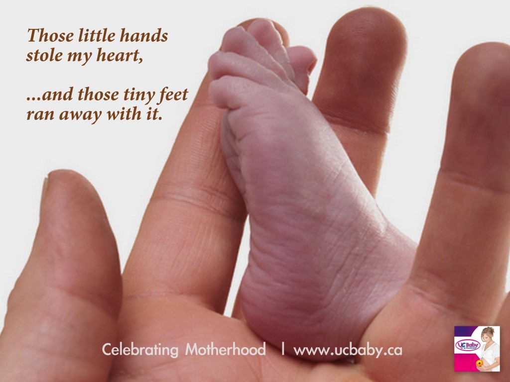 little hands tiny feet