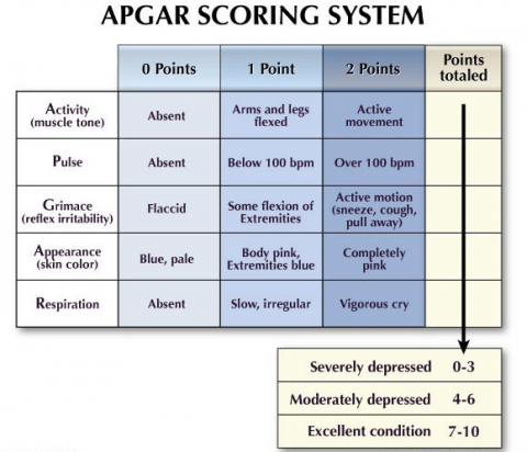 Apgar Score Test Chart