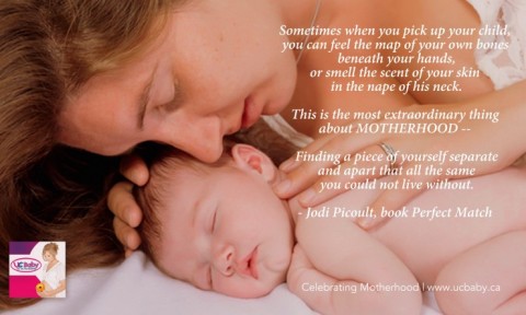 Motherhood Quotes