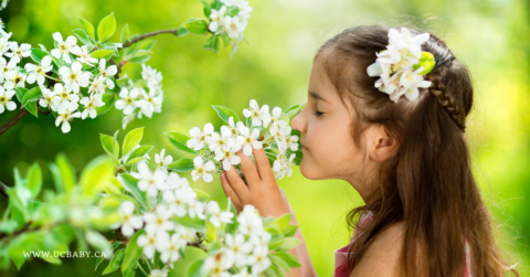 happy scent, aromatherapy, jasmine