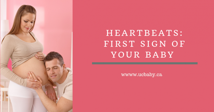 Heartbeats First Sign of your Baby