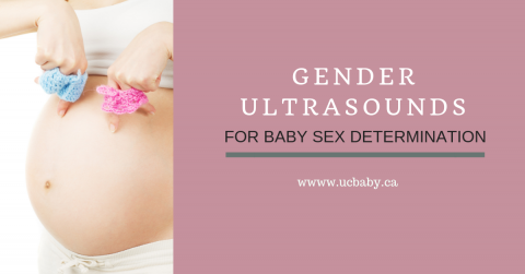 Gender Ultrasounds for Baby Sex Determination