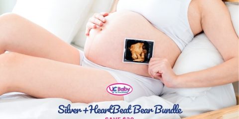 800x450 Silver + Heartbeat Bear Bundle