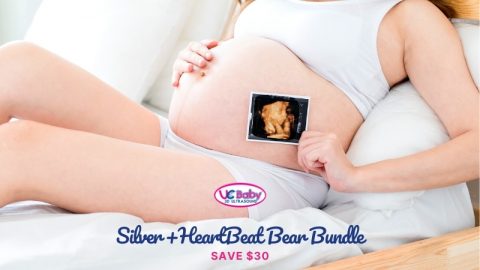 800x450 Silver + Heartbeat Bear Bundle