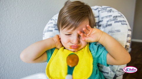 Picky Eaters Toddler Development