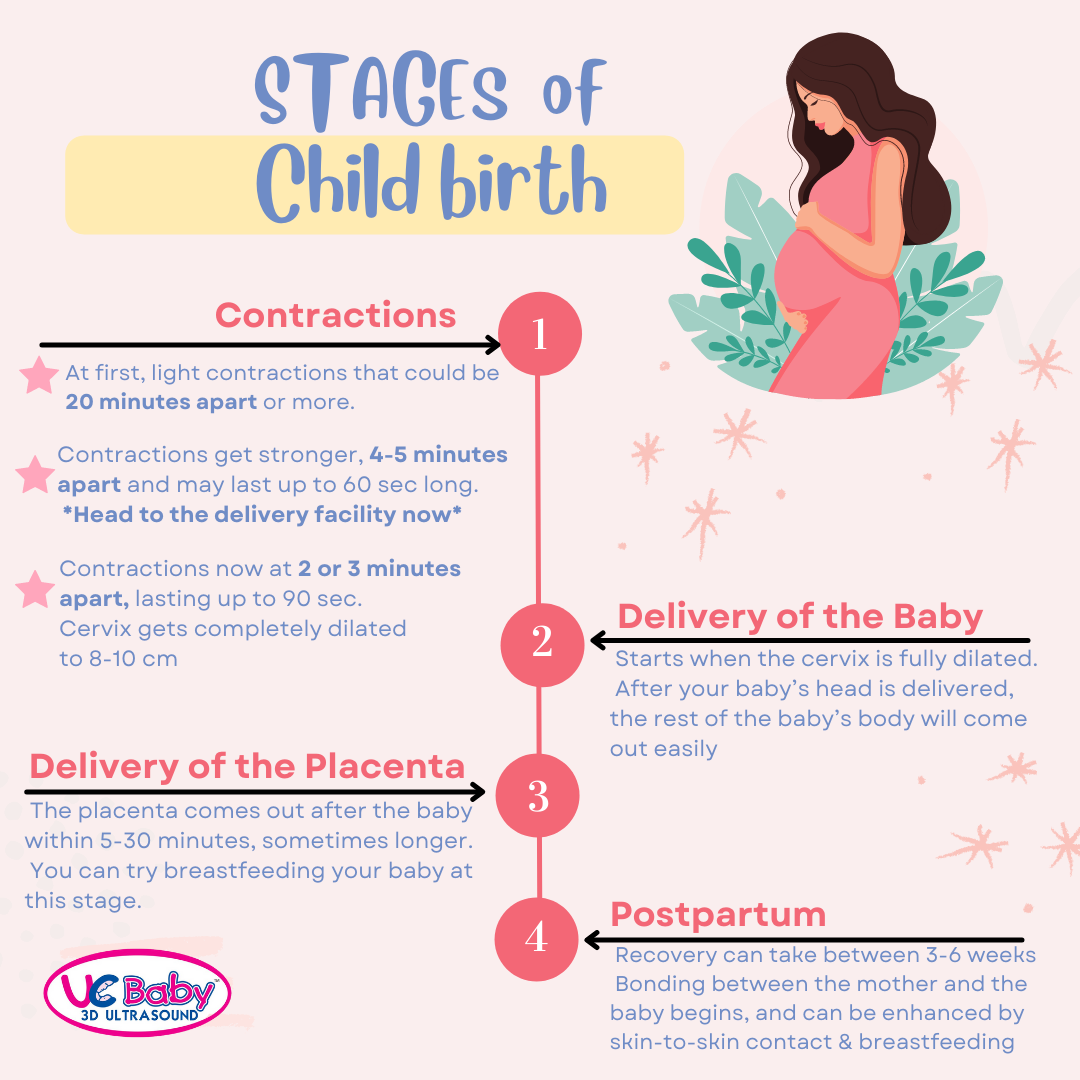 Infographics March 2022 - Stages of Childbirth