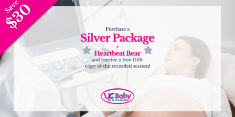 Silver + Heartbeat Bear Bundle