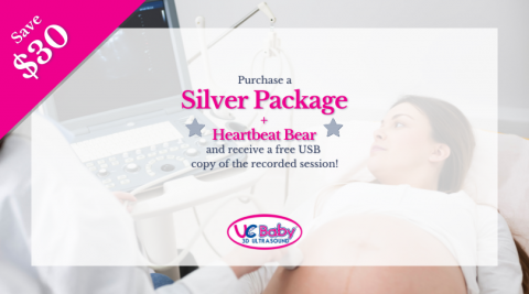 Silver + Heartbeat Bear Bundle