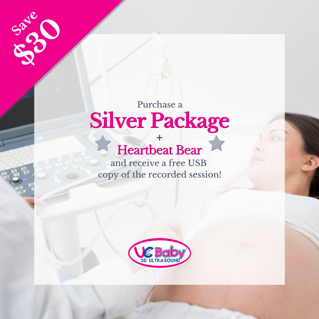 Silver + Heartbeat Bear Special Offer 