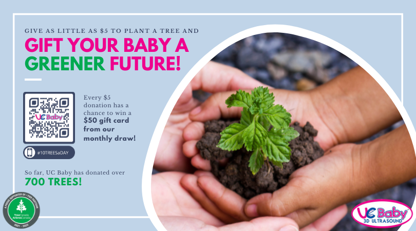 UC Baby Supports Tree Canda