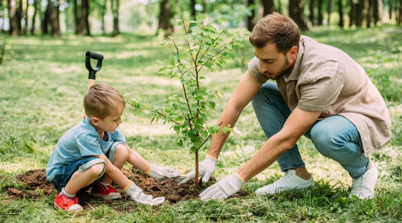 tree planting with child