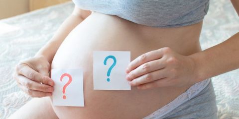Baby Gender Reveal Boy or Girl