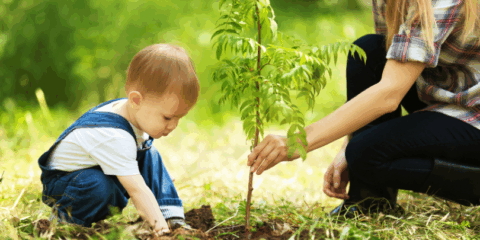 UC-Baby-Little-Steps-Tree-PLanting-Babys-Birthday