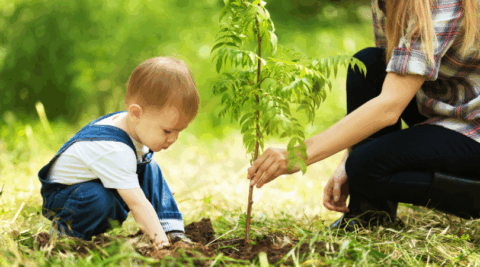 UC-Baby-Little-Steps-Tree-PLanting-Babys-Birthday