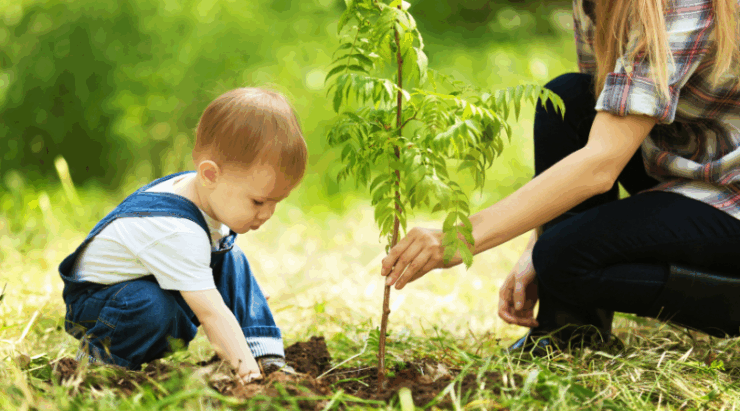 UC-Baby-Little-Steps-Tree-PLanting-Babys-Birthday